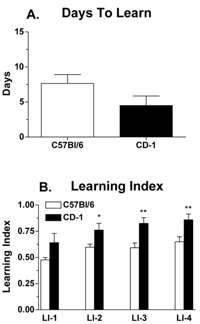 Abbildung 3