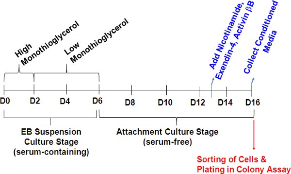 Abbildung 1