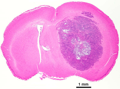 Figure 3B