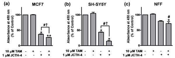 Abbildung 4