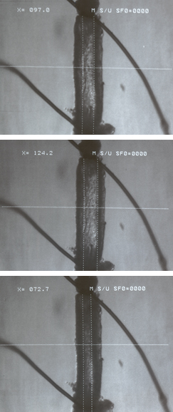Figura 6