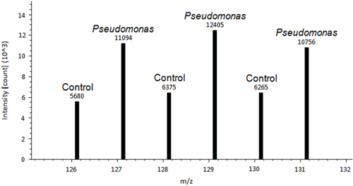 A Figura 3