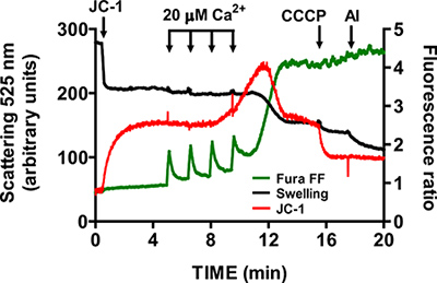 Figure 5