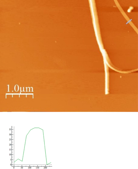 Figure 8