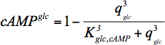 Equation 1