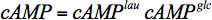 Equation 3