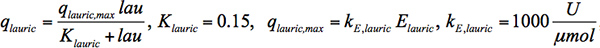 Equation 7