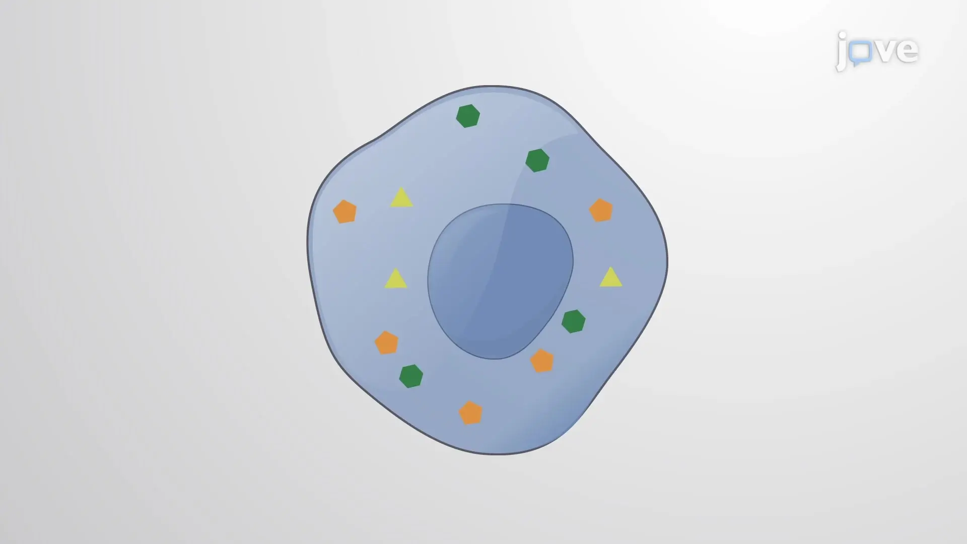 Sample Preparation for Metabolomics: A Method to Prepare Cell Samples for Metabolite Profiling