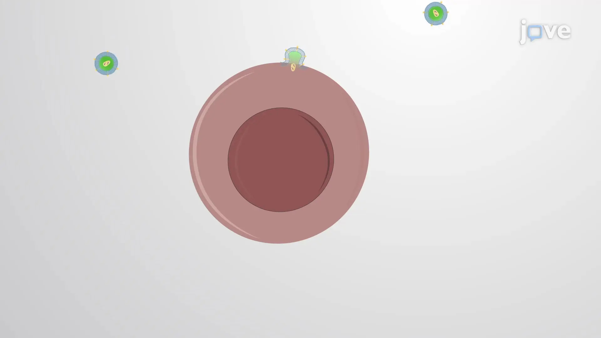 Retroviral-Mediated Transduction: A Method to Introduce Target Gene into Cancer Cells