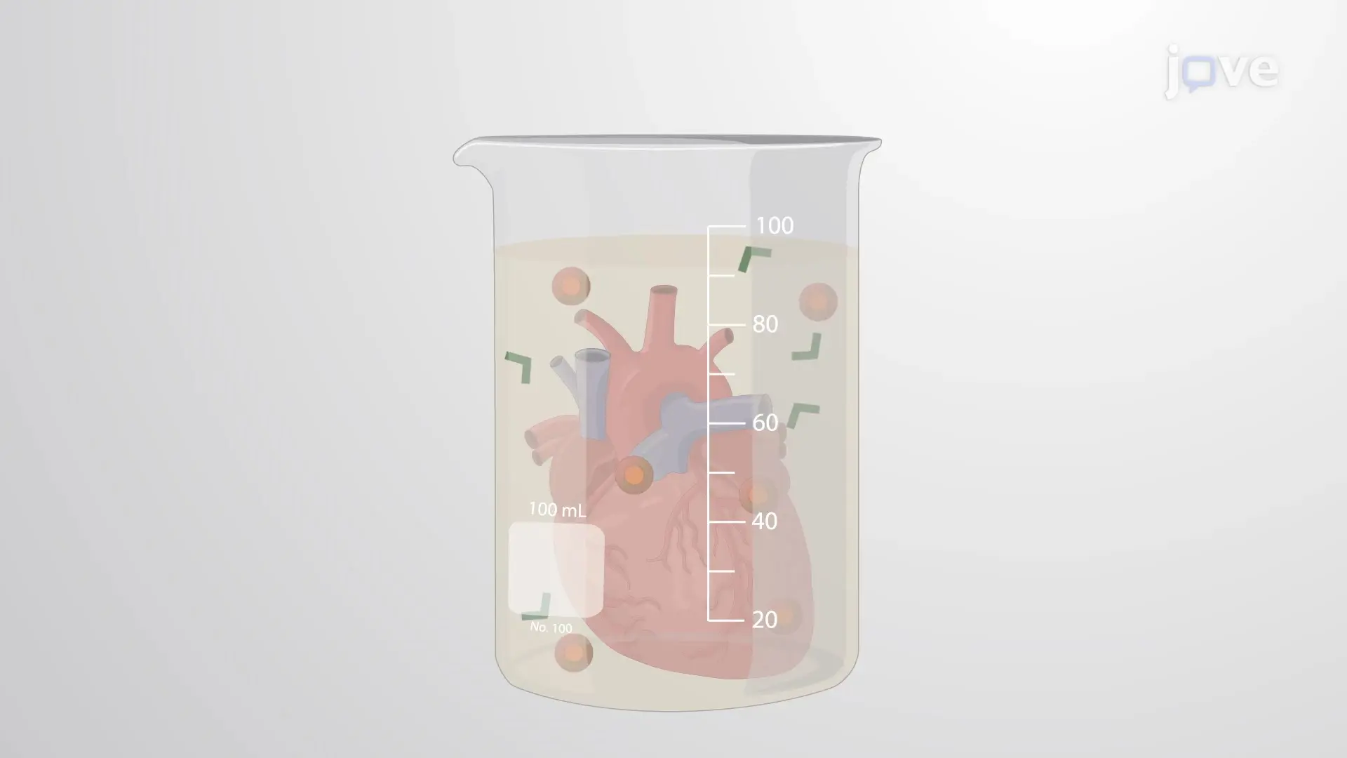 Antegrade Perfusion Model: An Ex Vivo Technique to Perfuse Isolated Mouse Heart