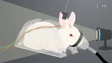 Intermittent Photic Stimulation in Rabbit Model: A Technique to Induce Epileptic Seizures and Simultaneously Record Multisystem Parameters