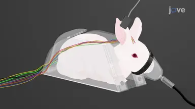 Multisystem Monitoring in Rabbit Model: A Method to Assess Neuro-Cardiac and Respiratory Parameters to Study the Oral Drug-induced Triggers for Arrhythmia and Seizures