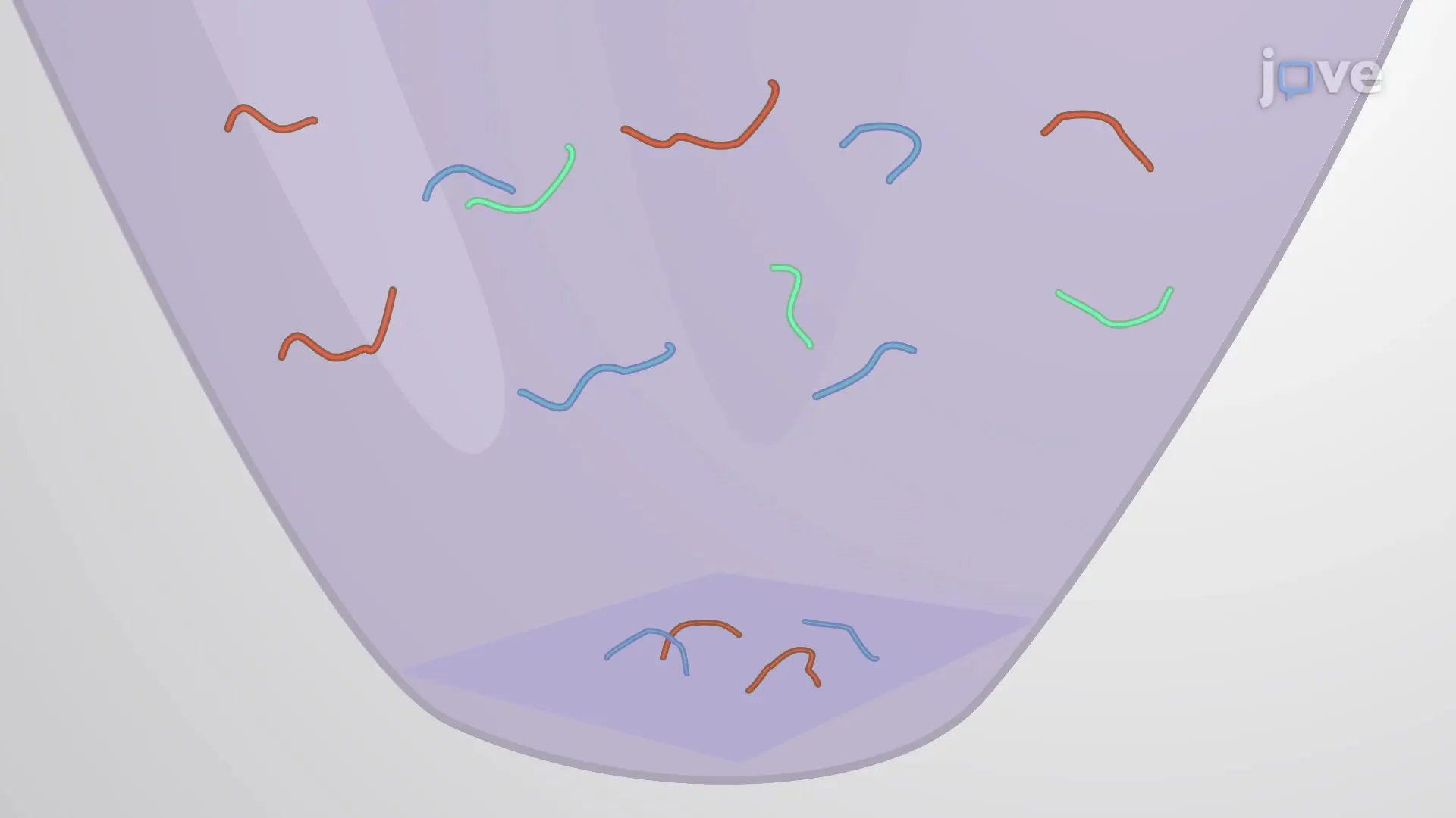 On-Membrane Protein Digestion to Prepare Co-Immunoprecipitated Proteins for Interaction Studies