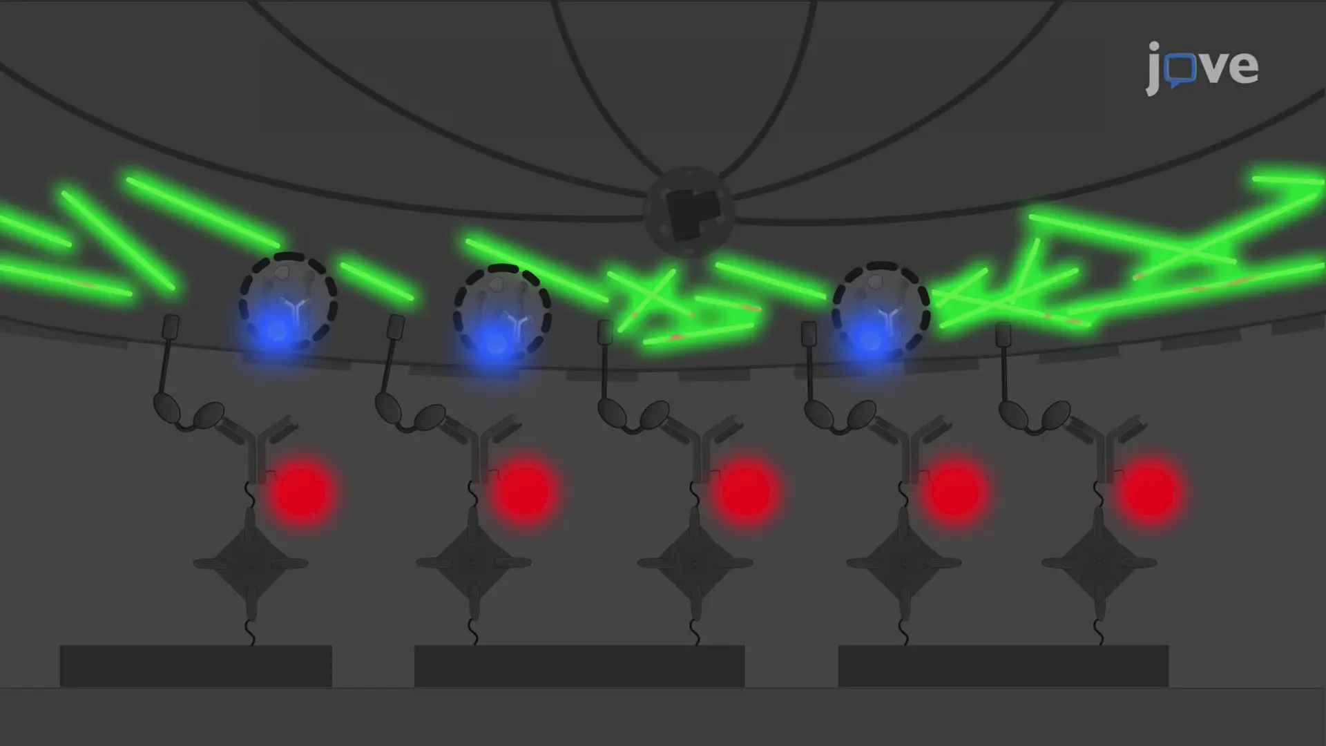 Super-Resolution Imaging of NK Cell Immunological Synapse Formation on a Supported Lipid Bilayer