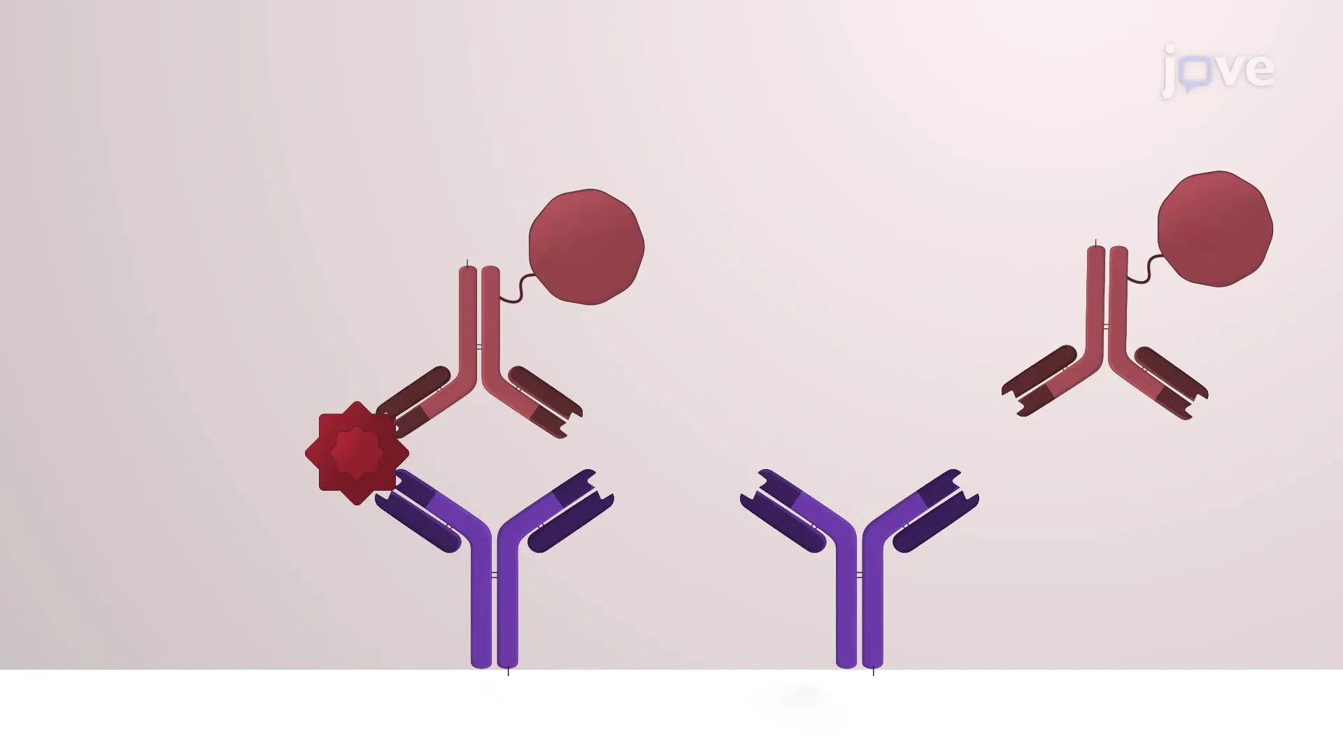 Quantification of Immune Mediator Levels in Human Mucosal Lining Fluid
