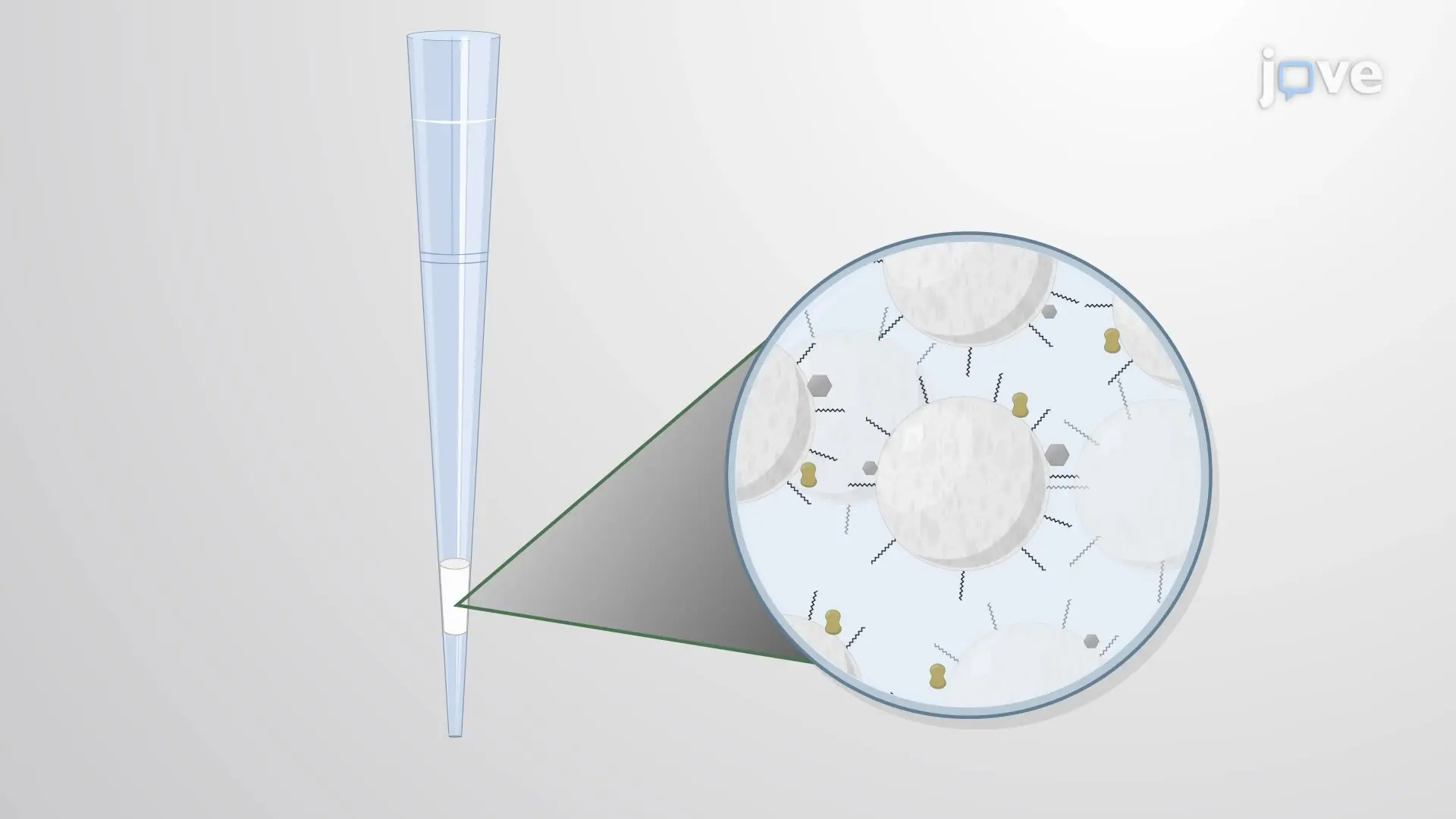 A STAGE Tip Procedure for Desalting and Purification of Peptides