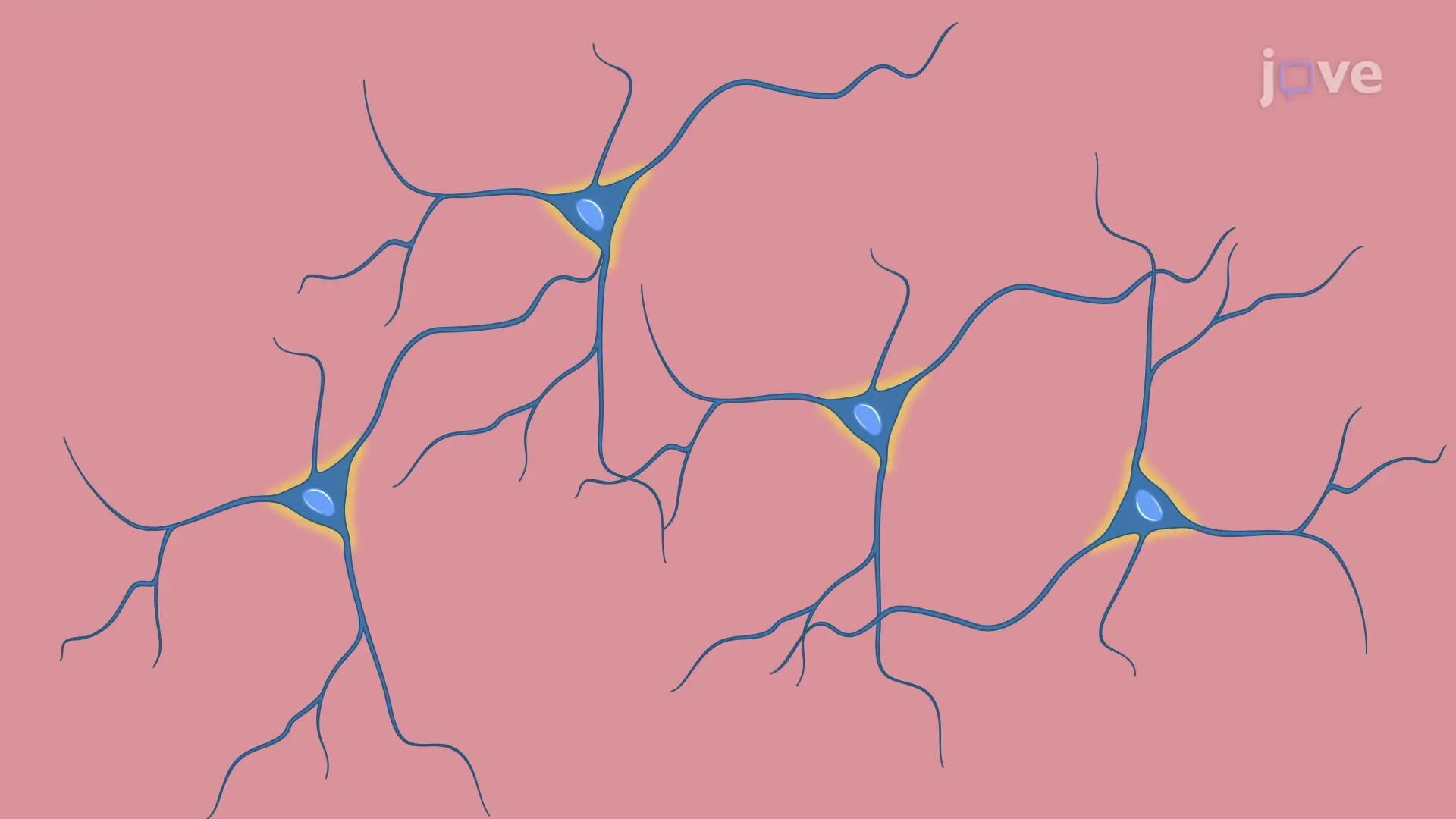 Direct Neuronal Reprogramming of Mouse Astrocytes into Neurons