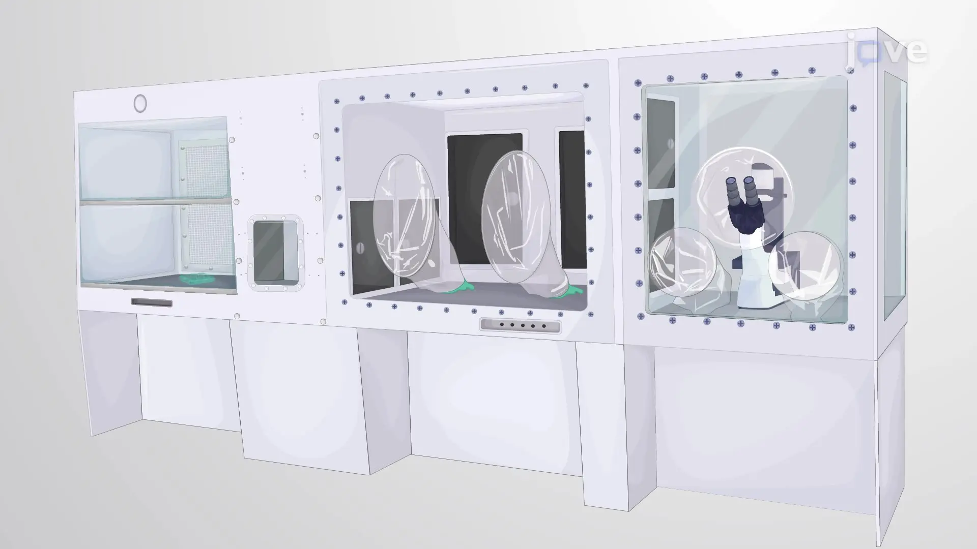 Handling Neuronal Stem Cell Cultures in a Cell Production Facility