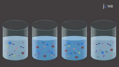 测量大鼠大脑不同亚细胞区室中的蛋白酶体活性