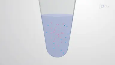 使用化学交联测定法交联小鼠大脑中的神经元表面蛋白