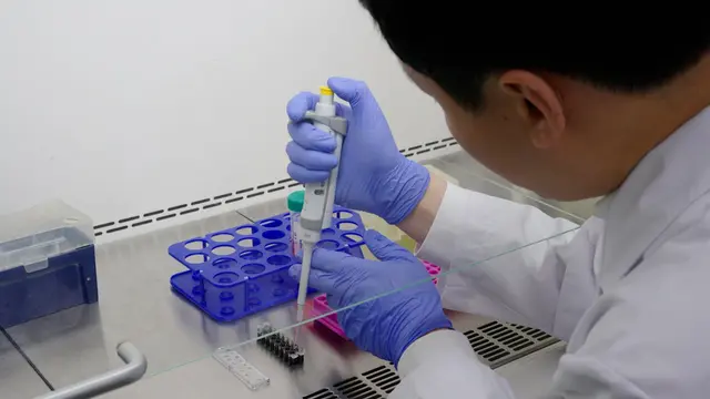 Generation and Genetic Manipulation of Human Cervical Organoids