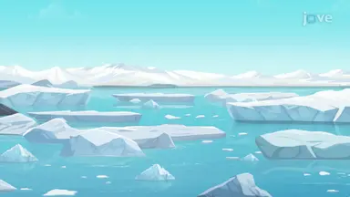 Impact of Continued Global Warming
