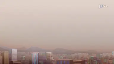 Air Pollution