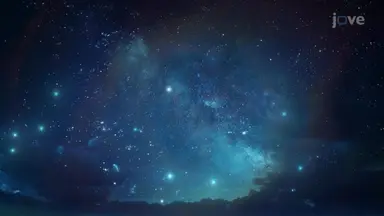 Star Formation