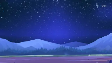 The Milky Way