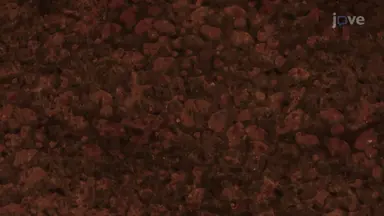 Soil Characteristics