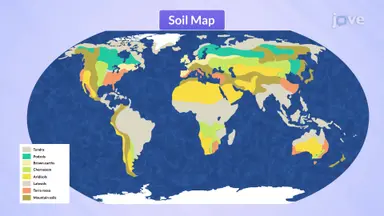 Types of Soils