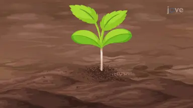 Avoiding Soil Loss