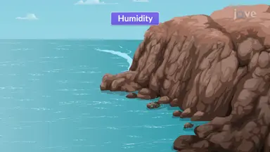Humidity