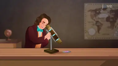 Microscopes