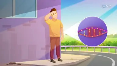 Mutation