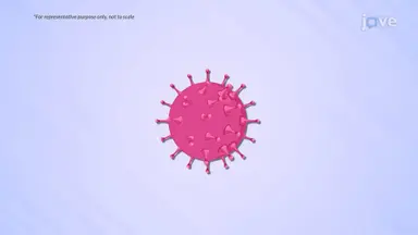 Viruses