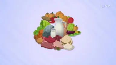 Types of Nutrients