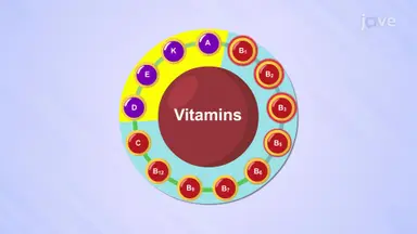 Vitamins