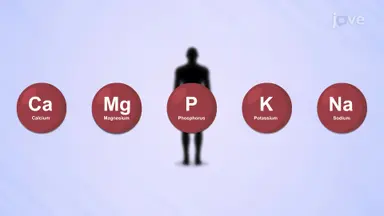 Minerals