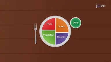 Balanced Eating