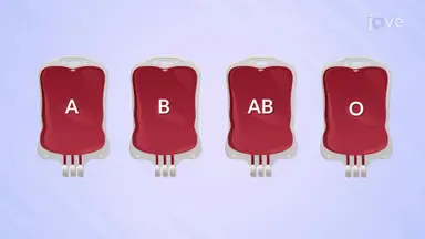 Blood Type - I