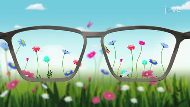 Vision Correction