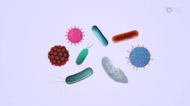 Types of Pathogens