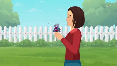 Smell