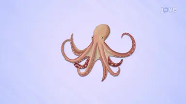 Mollusks
