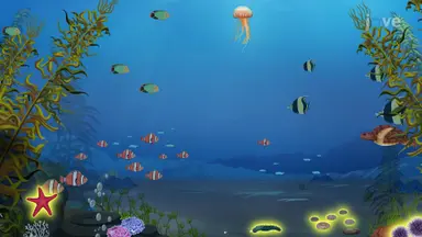 Importance of Echinoderms