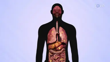 Types and Causes of Cancer