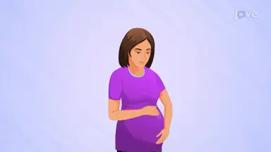 Pregnancy