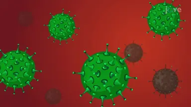 STIs