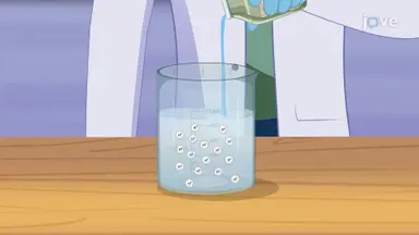 Acid, Base
